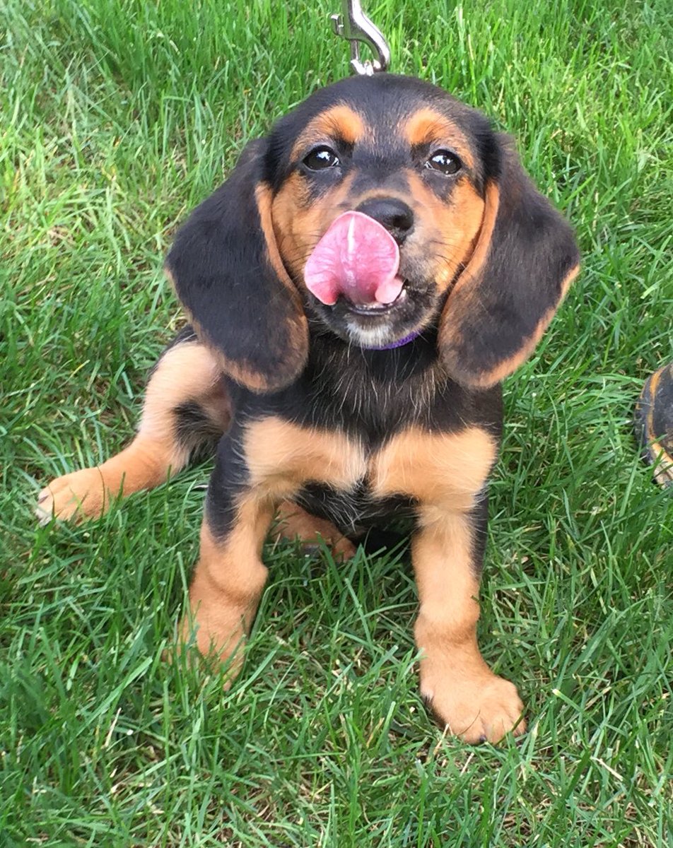 Miller_Corbin26's tweet photo. Welcome to the Fam Hazel!😍❤️ https://t.co/TFBGtjFTrl