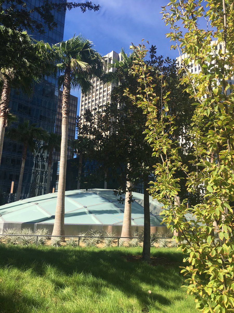 On my way back home from #waterpavilion and stopped at the new, gorgeous rooftop garden on the Transbay Terminal. A stunning reminder of what’s possible with #greeninfrastructure.