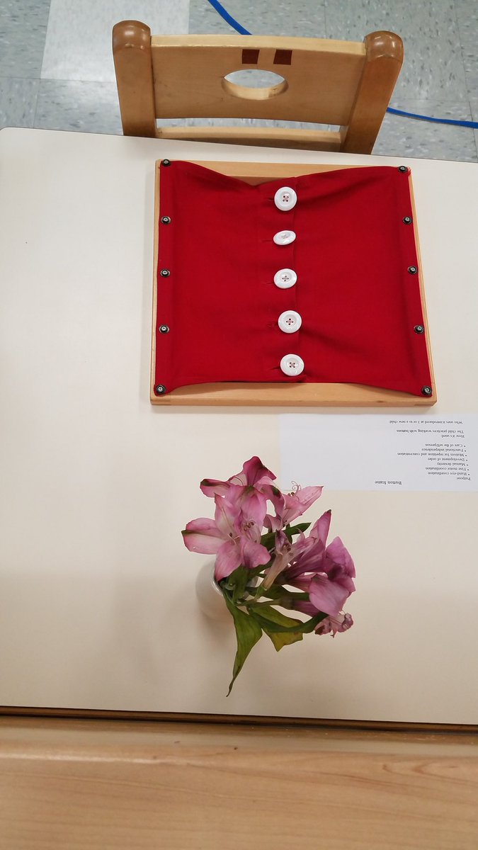 Lee Montessori FTA tweet media