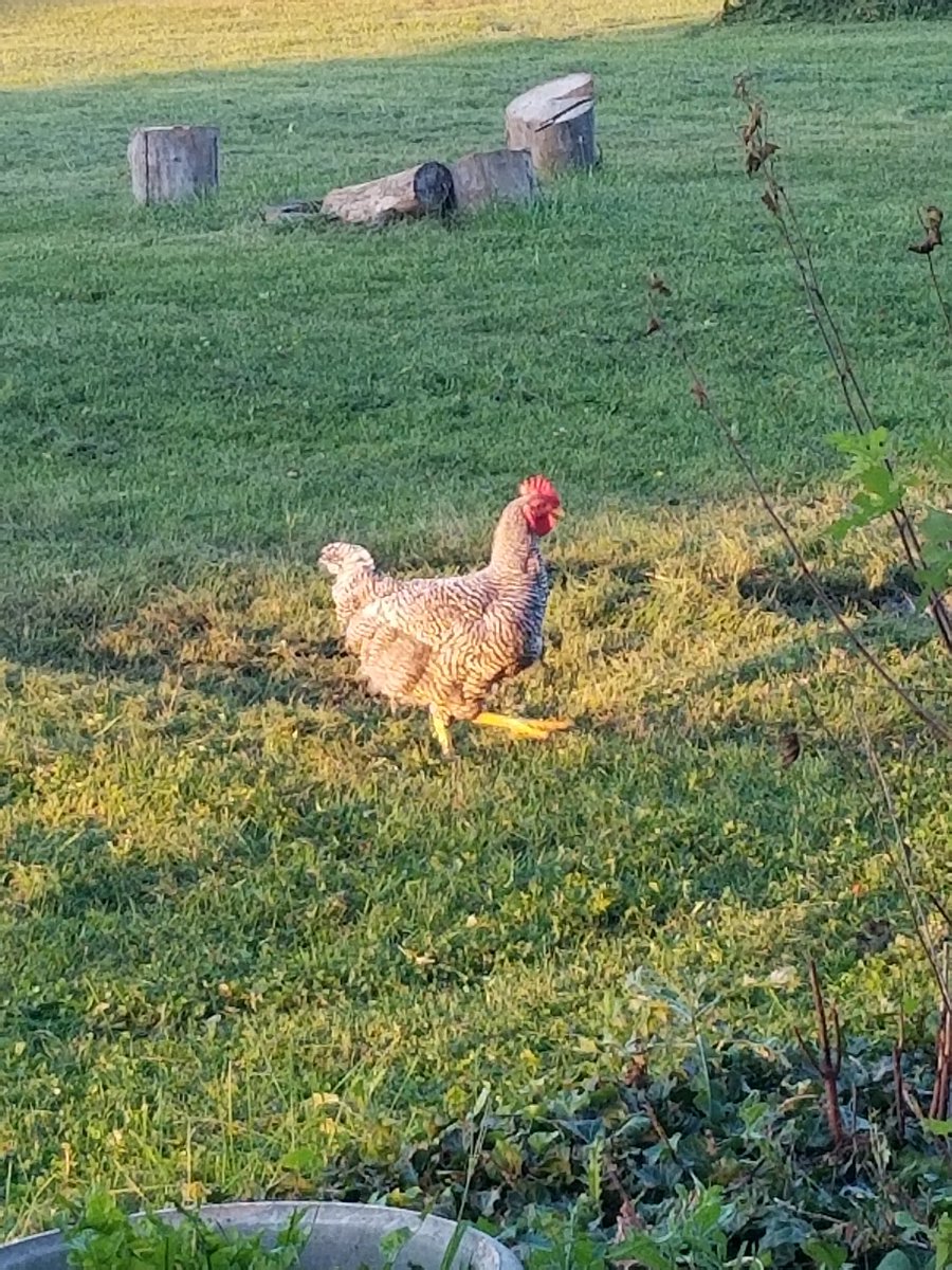 What a beautiful evening! This is why we love Indiana:]