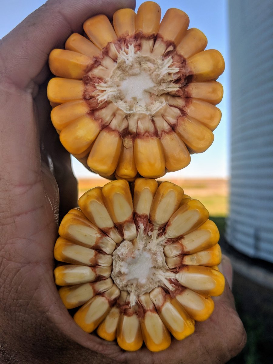 Channel Kansas (Channel_Kansas) Twitter