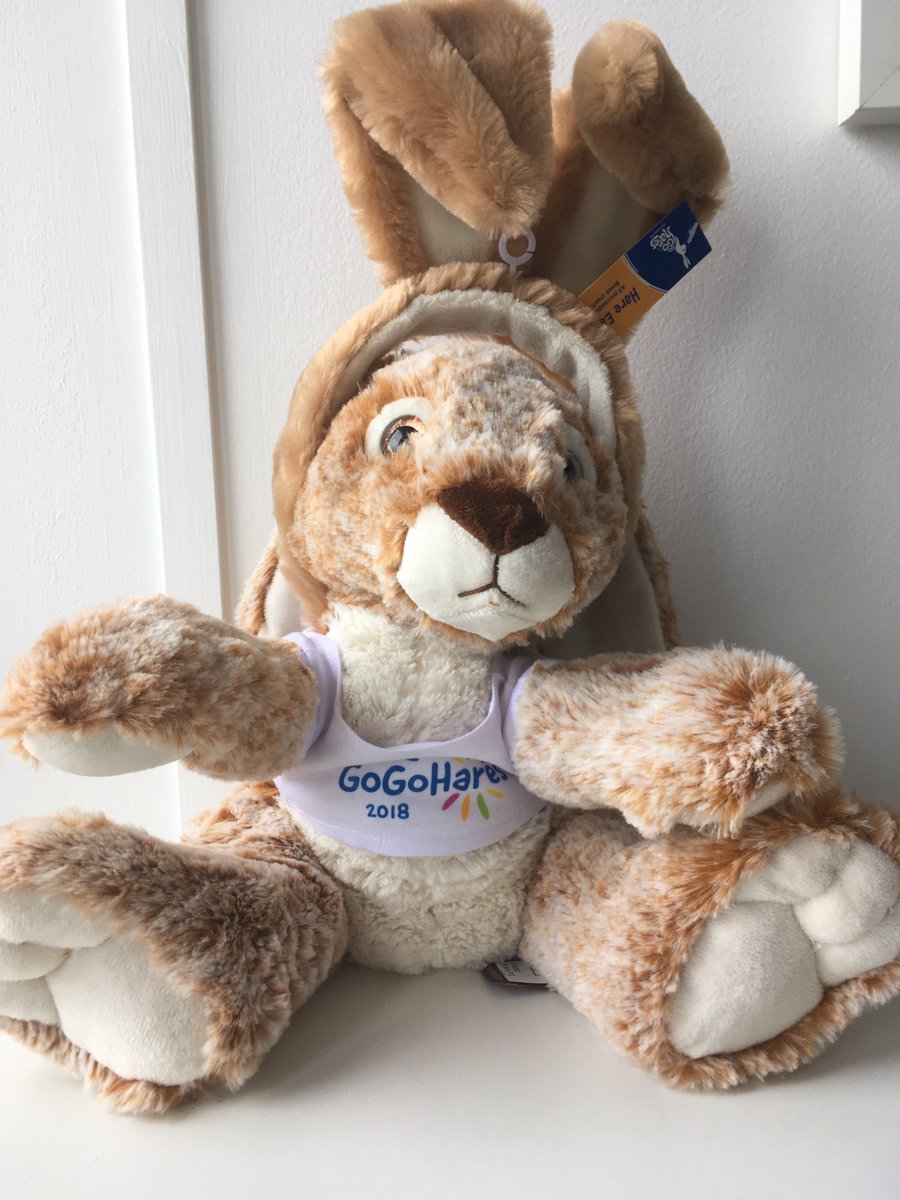 GoGoSafari tweet media