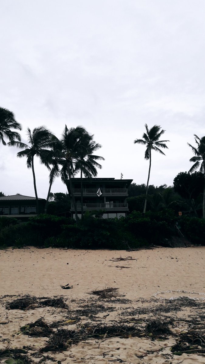TheAlohaBeast's tweet photo. ALOHA FROM THE NORTH SHORE! 🤙
#Stoked https://t.co/WlXJnsrPDZ