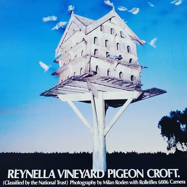 drinkingSCW's tweet image. Before there was The Cube @darenbergwine there was The Pigeon Croft at Reynella Vineyard #neverforget #pigeons ift.tt/2p5zjwM