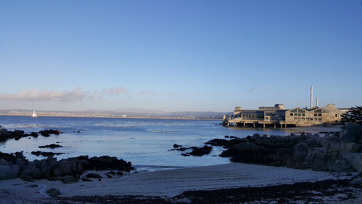 DrRyanYoung's tweet photo. California dreaming. #DSBS2018 https://t.co/jtiXp0uIuj