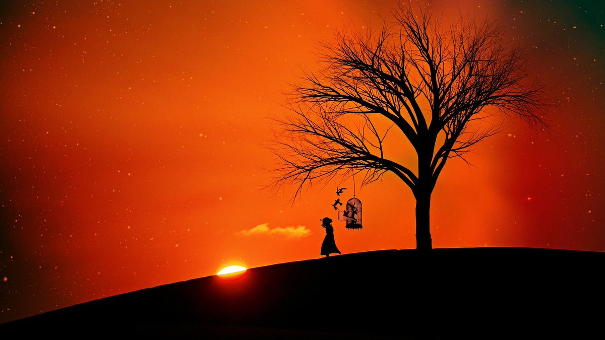 Nimittekam tweet media