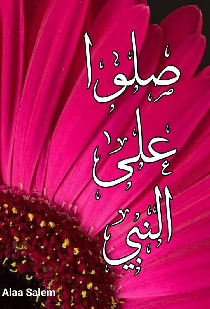 Gege (@gege40204509) on Twitter photo 