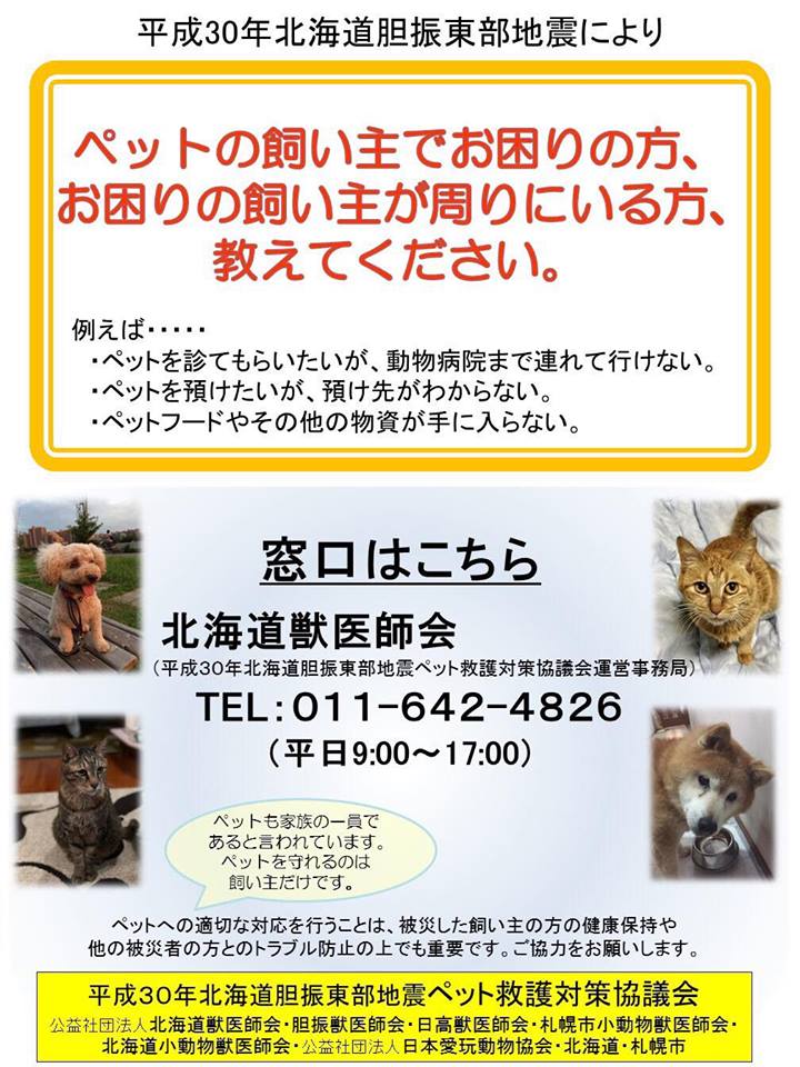 ayakovsky's tweet photo. 北海道胆振東部地震 動物相談窓口のお知らせ https://t.co/BJxR6hlhKz