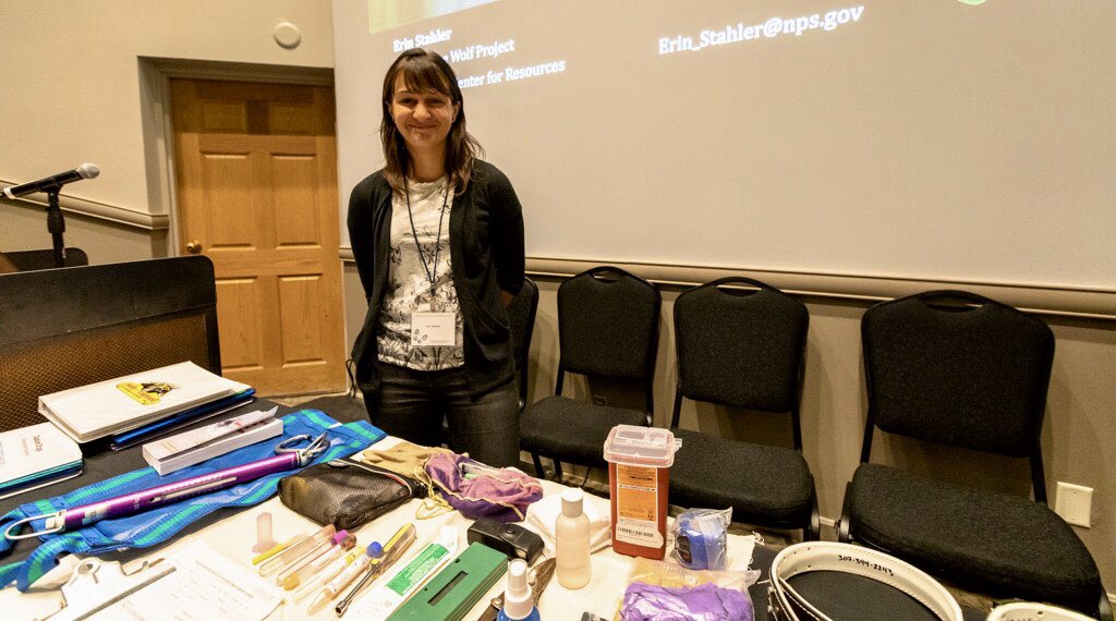GYEConference's tweet photo. @YellowstoneNPS biologist Erin Stahler led the “Wildlife Captures: What they Entail and How they have Evolved” workshop today. Fascinating presentation with photos and video from the field along with in the field items used during the capture process. https://t.co/pFw6rH5pY8