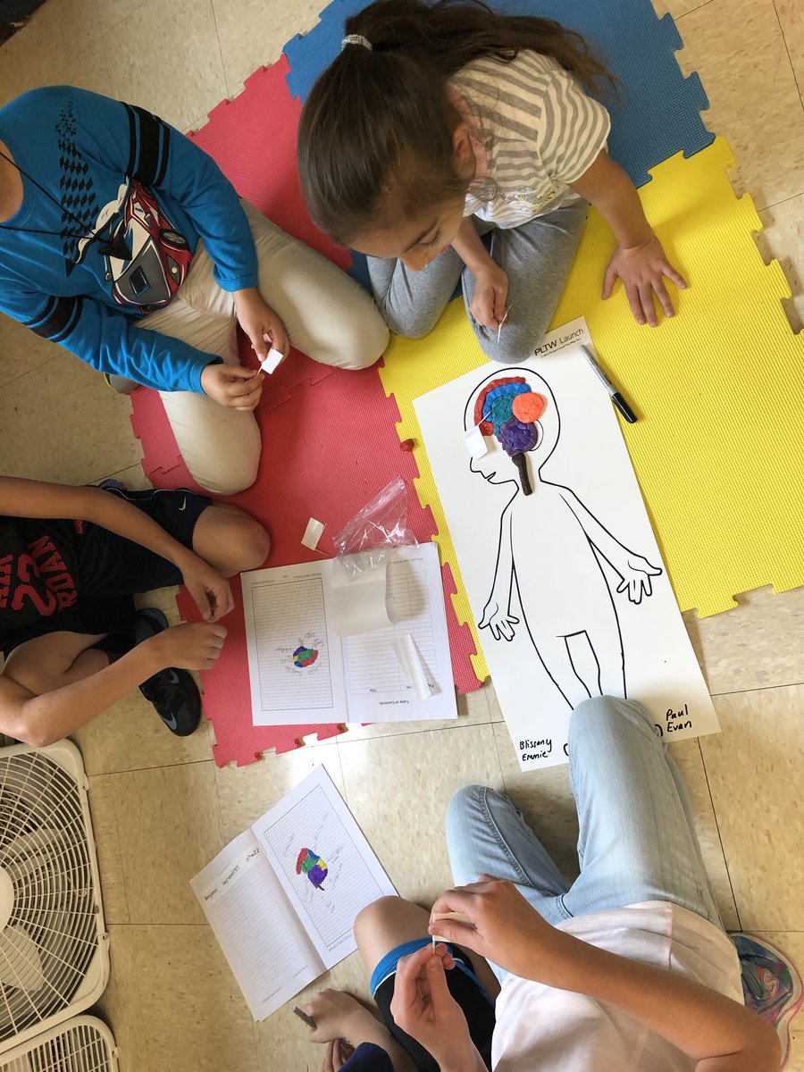 learnwithleary's tweet photo. Off and running with #PLTW! Up first: studying our brains! https://t.co/WoLw7Id3xJ