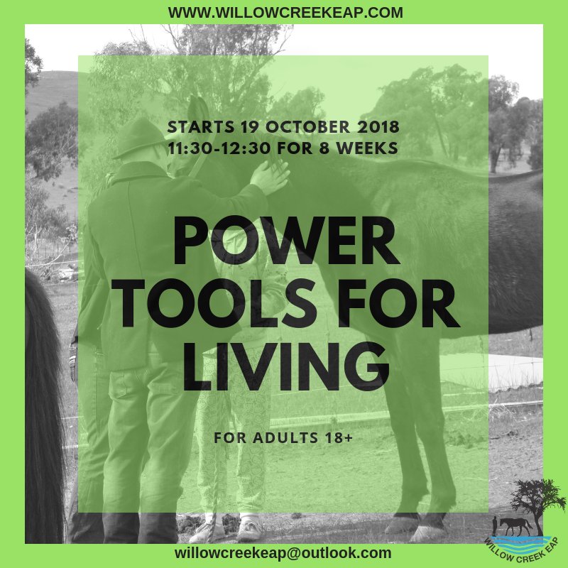 willowcreekeap's tweet photo. A fantastic program for adults who need a little direction in their lives. #ndis #horseshelpingpeople #buildingresilience #movingforward #livinglifetothefullest https://t.co/3ITQviRJ5S