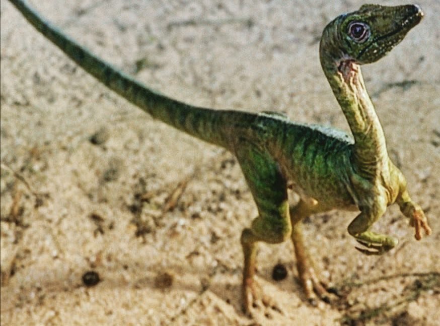 daily dinos on twitter