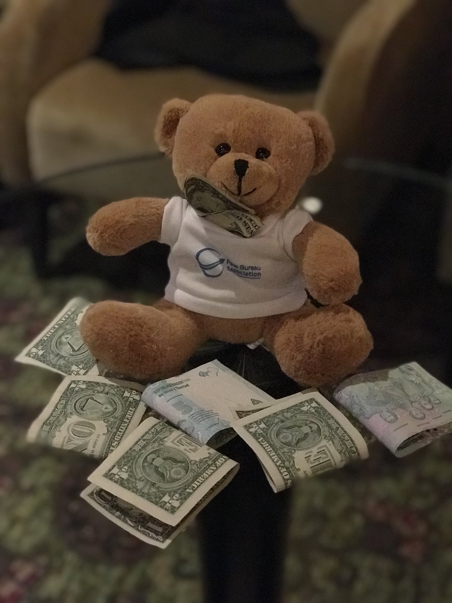 PassBureau's tweet photo. #PBAPabloBear having a night on the town https://t.co/J3L1S88E5j