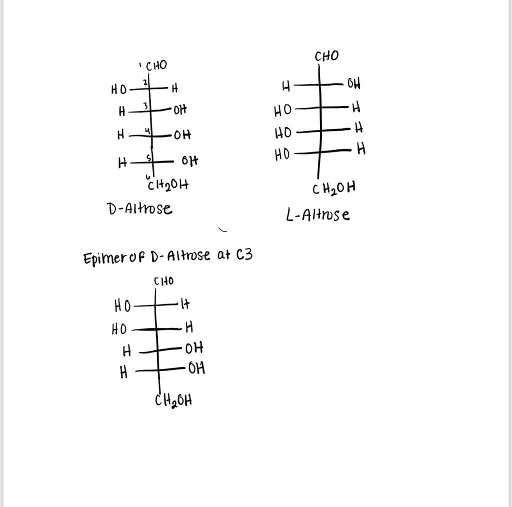 Abby Kosharek tweet media