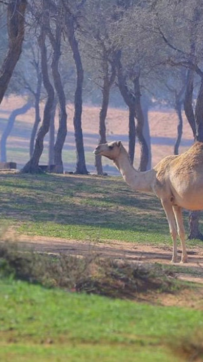 rai_r3's tweet image. 