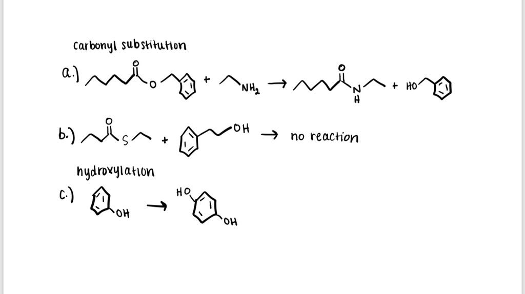 Abby Kosharek tweet media