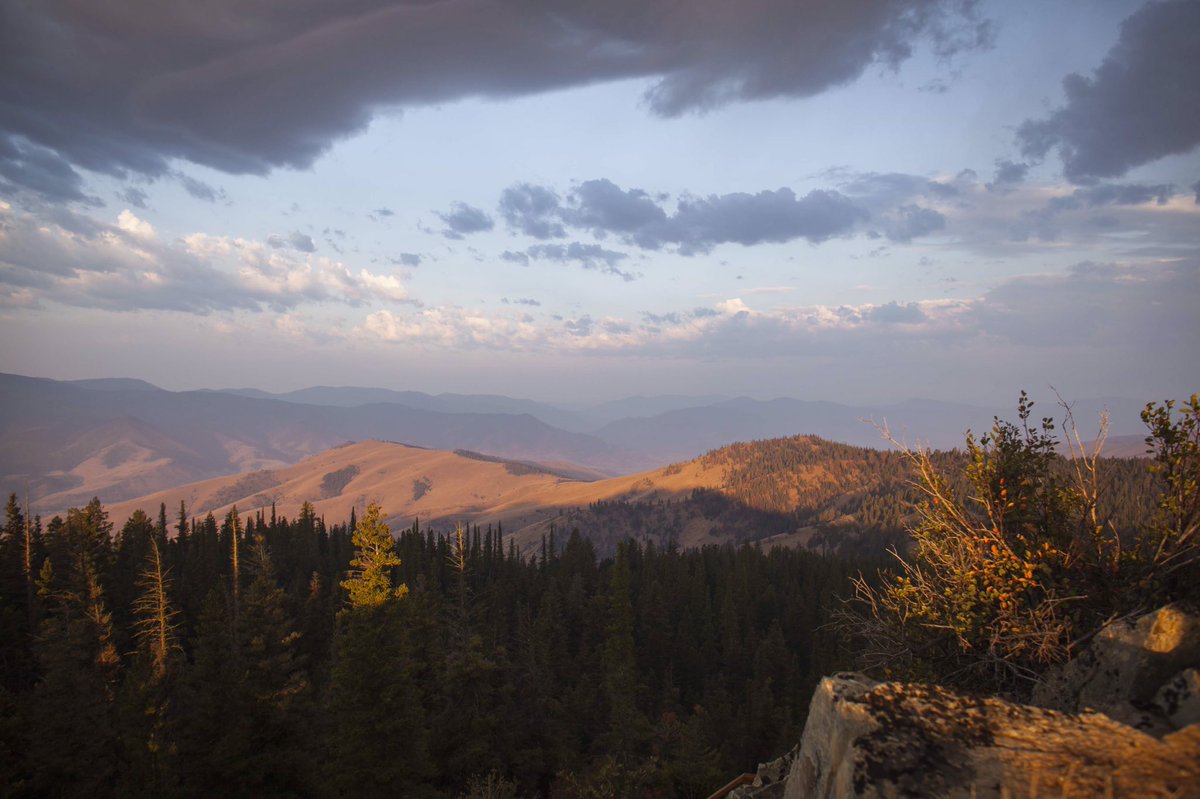 sara_diggins's tweet photo. And since it's been a heavy news week, thought I would post some nice views. Mostly to cheer myself up, but maybe you all too? #mtviews #Montana https://t.co/HZJIAP5W4M
