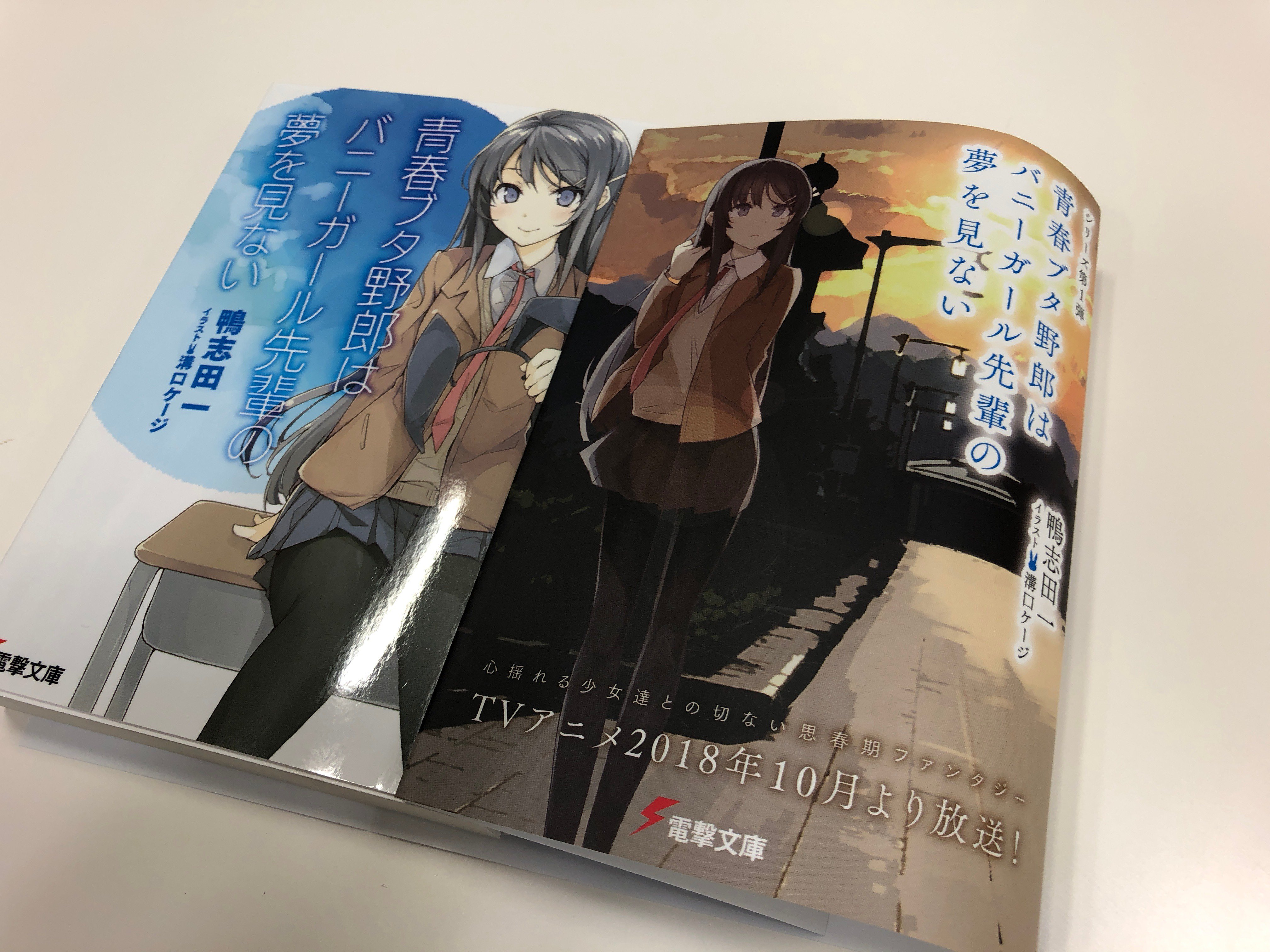 تويتر 電撃文庫 على تويتر Tvアニメ 青春ブタ野郎はバニーガール先輩の夢を見ない は いよいよ明日 第1話がtokyo Mx Bs11 メ テレほかにて放送 海と空に囲まれた町で 僕と彼女の恋にまつわる物語が始まる 青春ブタ野郎 シリーズ 第1弾 第8弾は