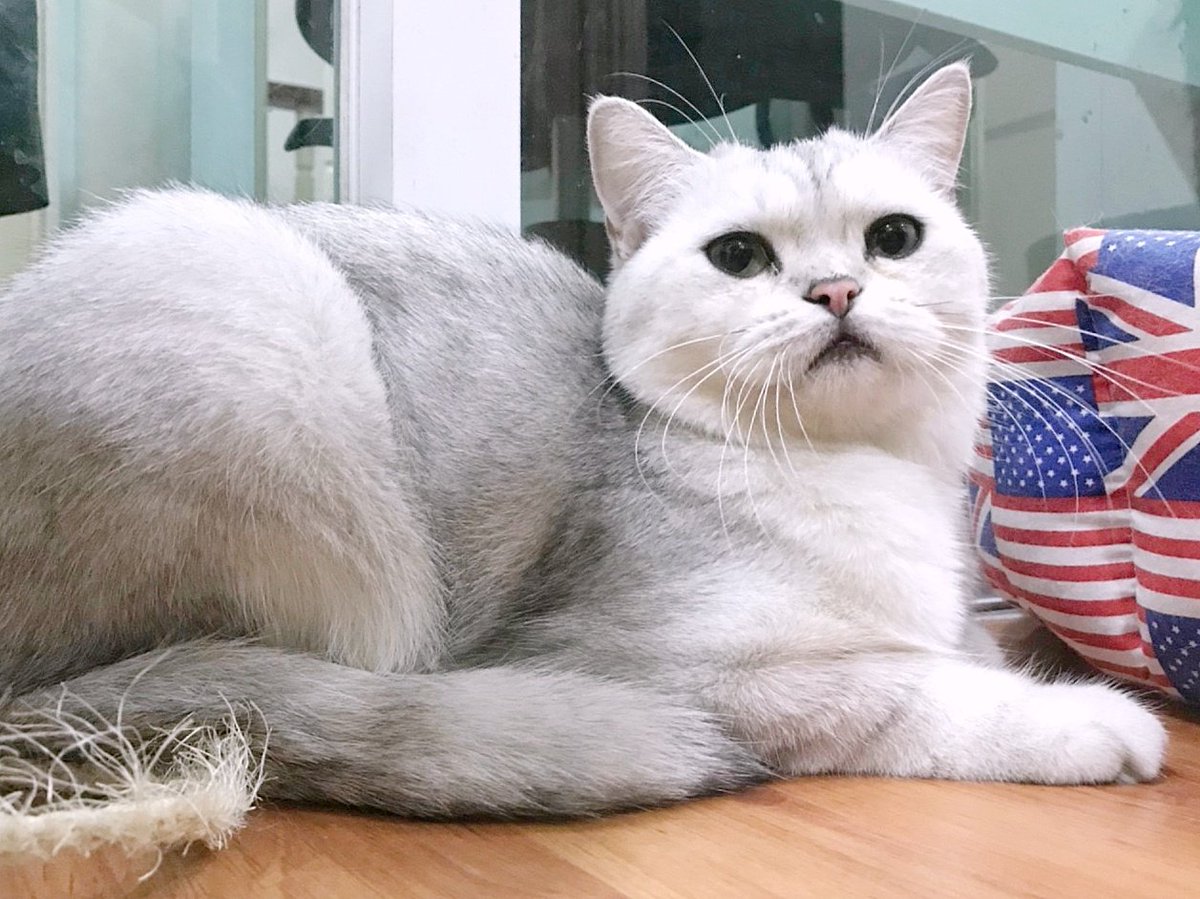 Bonusiie's tweet photo. เหนียงน้อยๆของคนสวย https://t.co/54FHBYRvEP