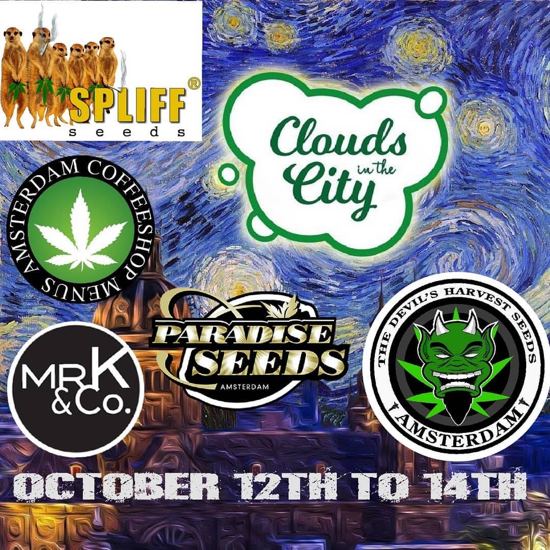 'Clouds in the City' of Amsterdam 💨💨 #CloudsInTheCity #Cloudsinthecitycup
#amsterdamweed #amsterdamcannabis #Legalise #legalize #cannabisart #420 #cannabiscommunity #cannabisculture #cloudsinthecityams  #cloudsinthecityamsterdam #coffeeshopculture #Spliffseeds