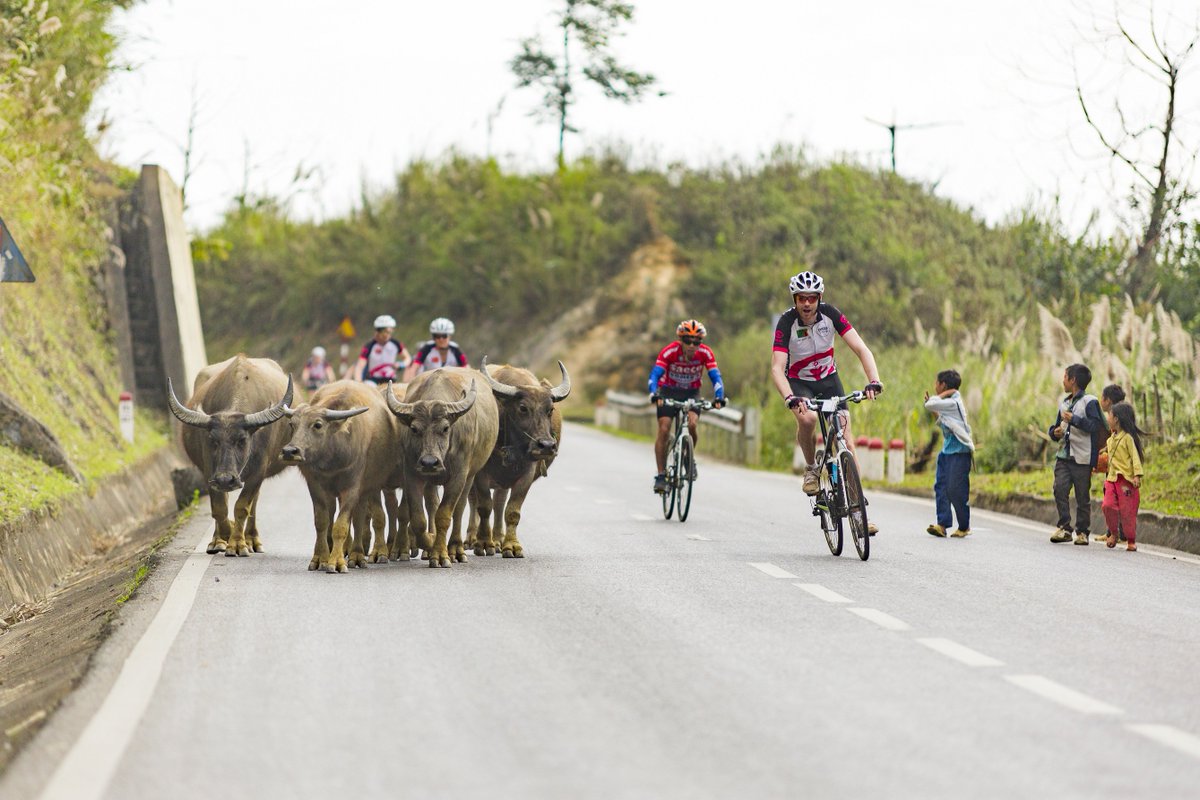 PlanNederland's tweet photo. Volgende week vinden de eerste informatieavonden voor #CycleforPlan plaats.
Kom langs en krijg alles te horen over deze once in a lifetime challenge.
Fiets jij straks door #Malawi of #Vietnam voor een beter leven voor meisjes?
https://t.co/pYBTkt9KU1 https://t.co/5blbFwmilu
