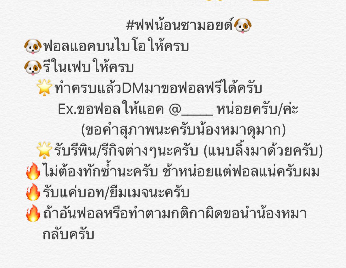 ฟอลฟรีซามอยด์🐶 tweet media