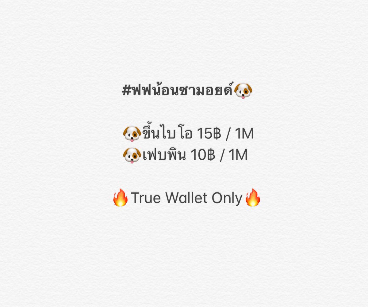 ฟอลฟรีซามอยด์🐶 tweet media