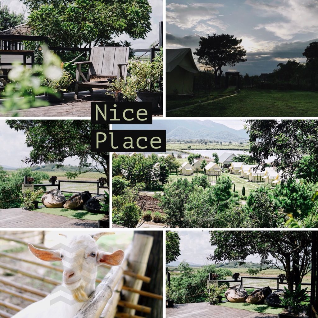 ✿ ซังซัง - SungsungBlog ꕀ tweet media