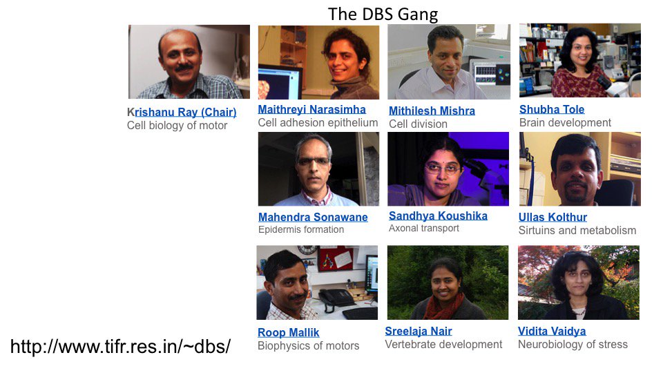 ViditaVaidya's tweet photo. I am very lucky to work with a wonderful bunch of colleagues in the Department of Biological Sciences @TIFRScience - We are recruiting and applications in all areas of Biological Sciences are welcome. Please RT. https://t.co/jTbW5WvfED