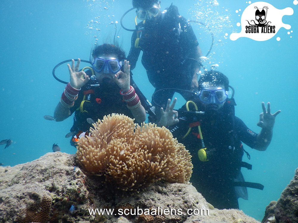ScubaAliens's tweet photo. "We Exist Underwater - @ScubaAliens @PADI #Certified"

Always Be Nice With The #Divers, Coz We Know The Places Where NoBody Will Finds You,

#scubaaliens #wateraliens #scubadiving #snorkeling #PADI #coralreef #sea #fish #boats #underwaterphotography https://t.co/U5Al5KpXRA