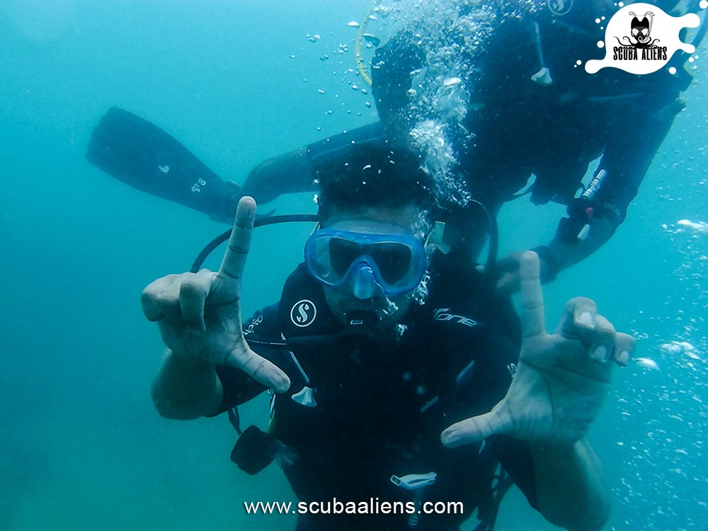 ScubaAliens's tweet photo. "We Exist Underwater - @ScubaAliens @PADI #Certified"

Always Be Nice With The #Divers, Coz We Know The Places Where NoBody Will Finds You,

#scubaaliens #wateraliens #scubadiving #snorkeling #PADI #coralreef #sea #fish #boats #underwaterphotography https://t.co/U5Al5KpXRA