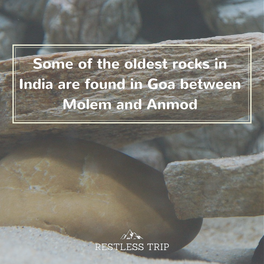 RestlessTrip's tweet photo. #Restlesstrip #photooftheday #followback #incredibleindia #nikonindiaofficial #travelphotography #hindustanpictures #shoot2kill #tripotocommunity #instaltravel #travelgram  #travelblogger #travelling #traveller #travelguide #travelbook#goa#goafact#goatourism https://t.co/bfha9KpWBM