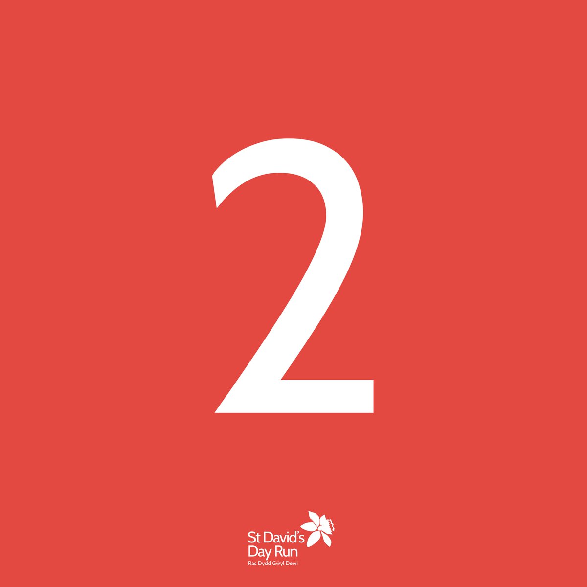 St David's Day Run tweet media