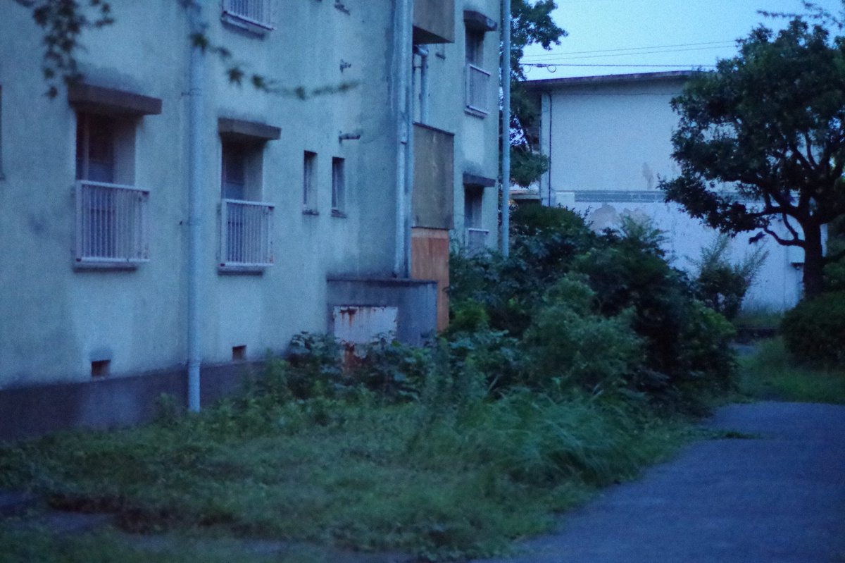 usaphoto_252's tweet photo. 間違えて消してしまったので再投稿
団地の廃墟 松原団地行ってきました。
#廃墟 #廃墟団地 #埼玉 #松原団地 #写真好きな人と繋がりたい #ポトレモデル募集 #ポートレートモデル募集 #被写体募集 #ファインダー越しの私の世界 https://t.co/HAIHBm1wf9