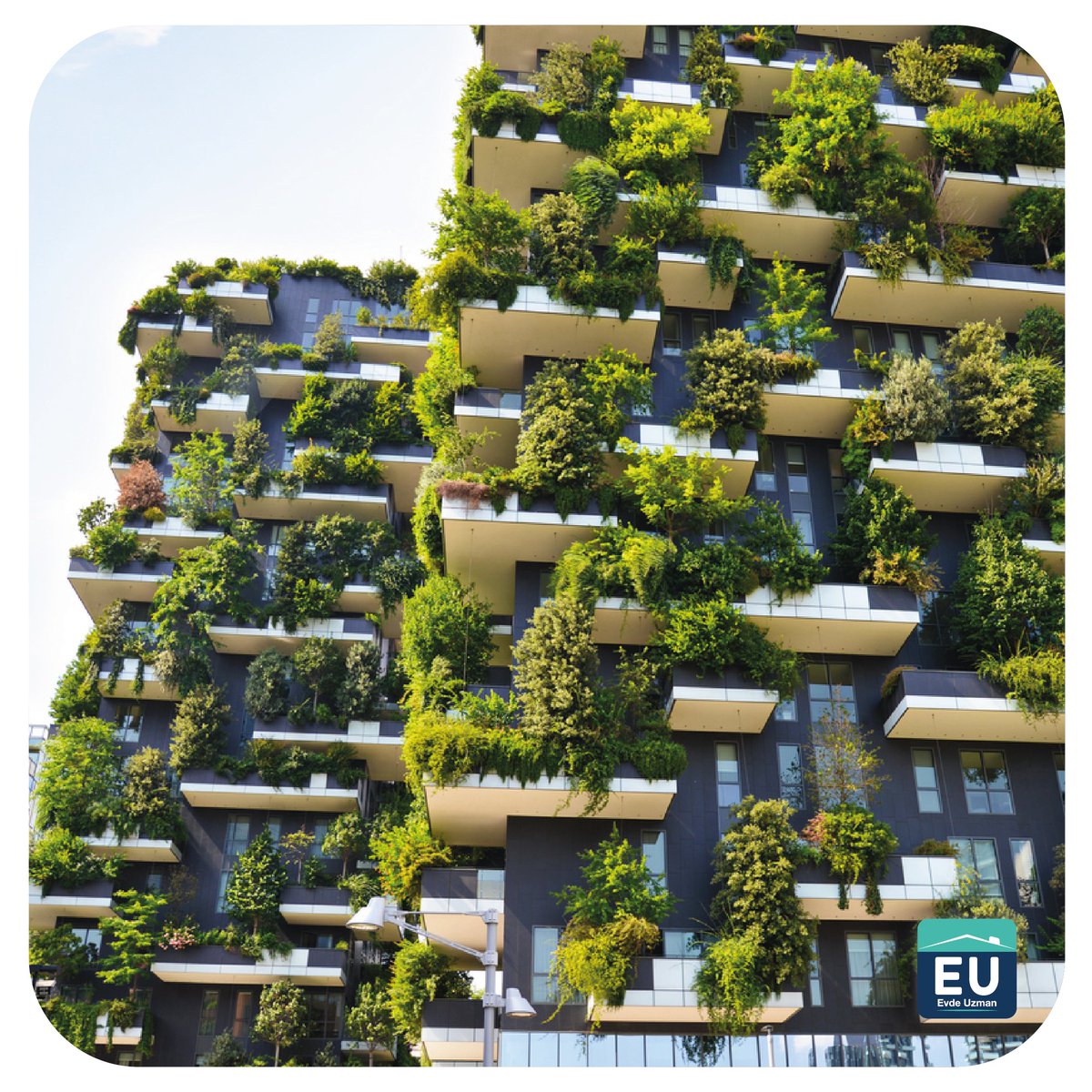 EvdeUzman's tweet photo. Boeri Studio tarafından tasarlanan İtalya'nın Milan kentindeki Bosco Verticale konut kulesi. Bosco Verticale İtalyanca'da dikey orman anlamına geliyor.
#konut #mimari #tasarım #mimar #İtalya #Milan #BoeriStudio #BoscoVerticale https://t.co/peIyyebArM