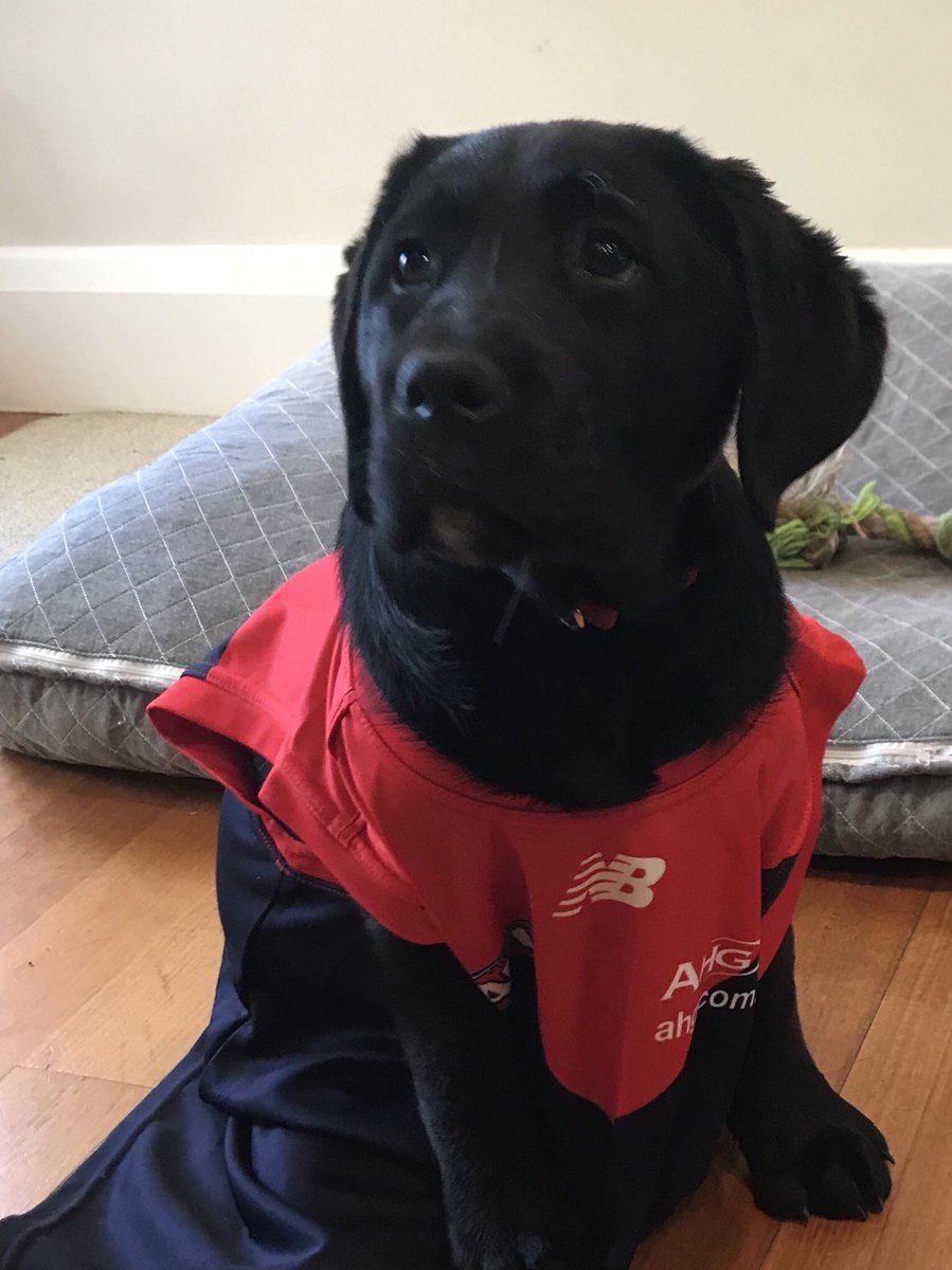 Moose’s hearts beat true!! #raisehell