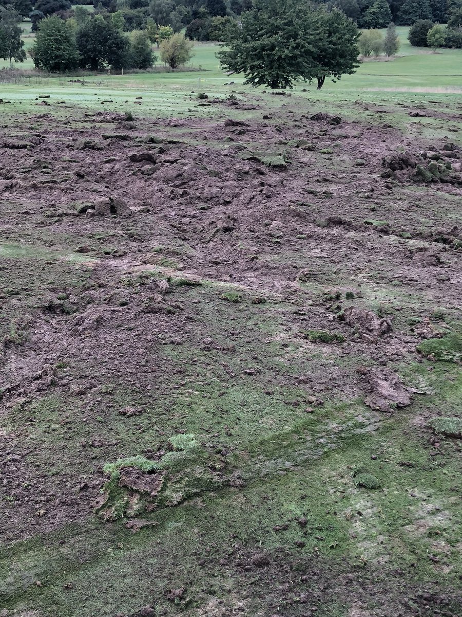 greenkeeper00's tweet photo. You got to love walking up in the morning to find your greens like this #Greenkeepers #friday #golfcourse #Golf https://t.co/Abz5JuqH4u
