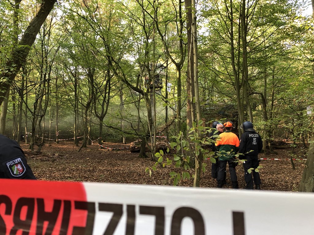 wpnkt's tweet photo. Rauch aus einem Baumhaus zieht durch den Wald. Die Bewohner der Hütte haben ihren Ofen noch einmal angeschmissen. Klamme 13 Grad sind es gerade im #HambacherForst @aktuelle_stunde https://t.co/3ISNBbpZ8x