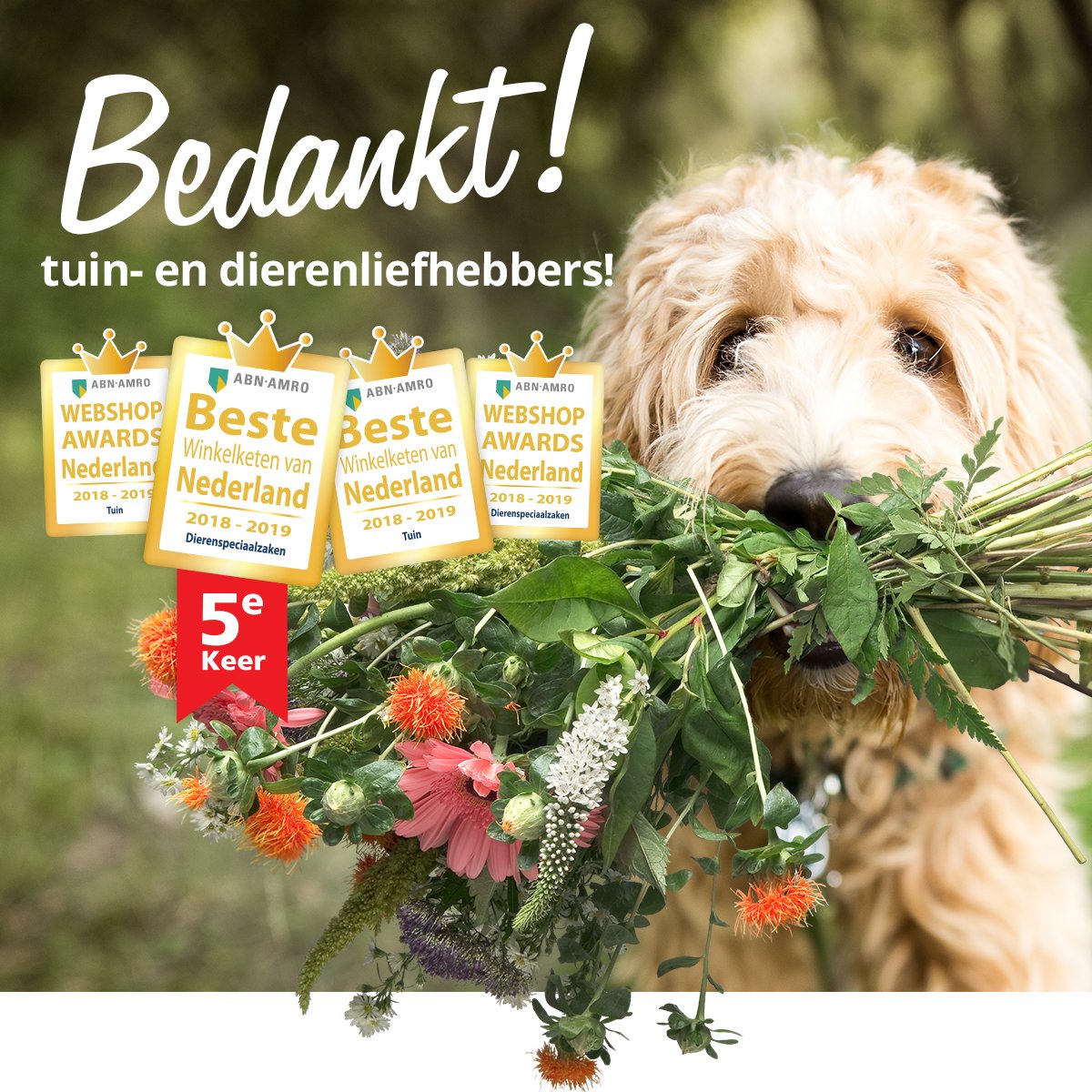 Super bedankt! We zijn 4 keer in de prijzen gevallen in de categorieën Beste Winkelketen én Beste Webshop. #trots