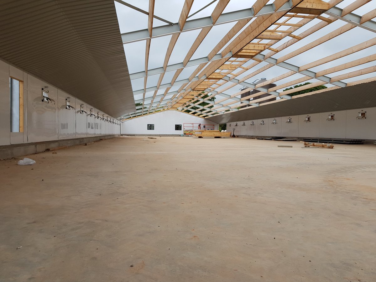 HarlowPoultry's tweet image. Great progress on this Broiler Breeder site in Exeter.

Everything on track for the open days in November. Come along and see the first
of its kind in the UK.   

@lubinguk @longpauldraper @emmamingo @draperVENT @CollinsonAgri @Harlow_Poultry @Hotraco