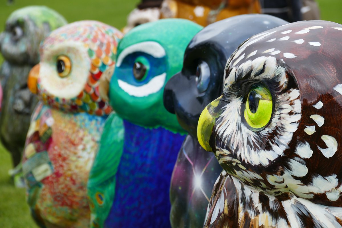Say farewell to the flock at the Owl Hoot Farewell Weekend on the 29 - 30 September!

You'll have the chance to see all 82 owls before they fly off to charity auction, as well as fun owl-themed activities and real owl displays!

eventbrite.co.uk/e/owls-hoot-fa… #OwlsOfBath #HootFarewell
