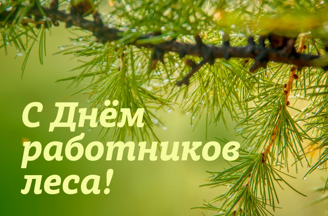Поздравления, поздравление с днем леса открытки