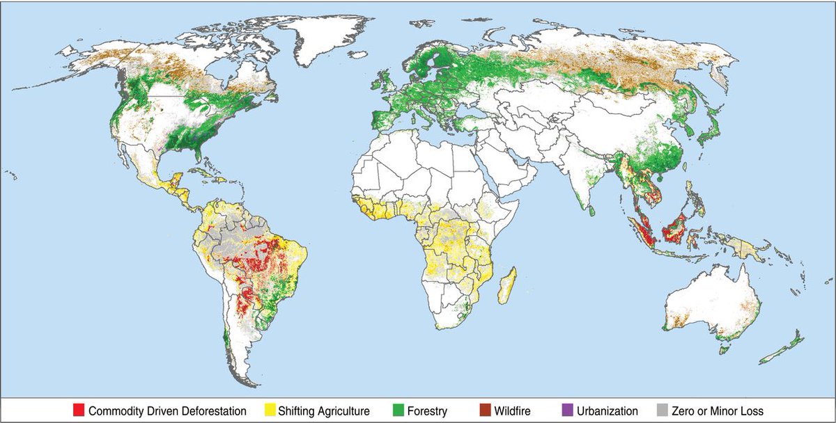 What drives #deforestation?
Over a quarter of global #forestloss is associated with commodity production

science.sciencemag.org/content/361/64…