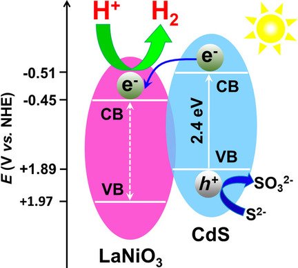 ChemEurJ's tweet image. #PerovskiteOxide LaNiO3 #Nanoparticles for Boosting #H2Evolution over Commercial #CdS with #VisibleLight doi.wiley.com/10.1002/chem.2…