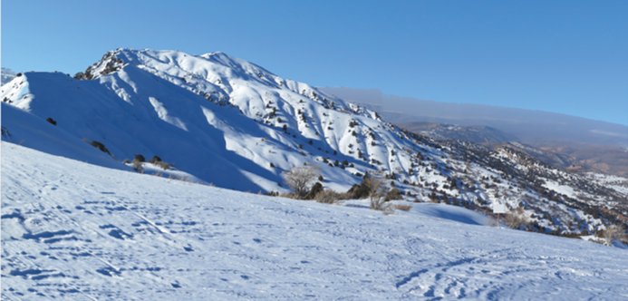 nevasport tweet media