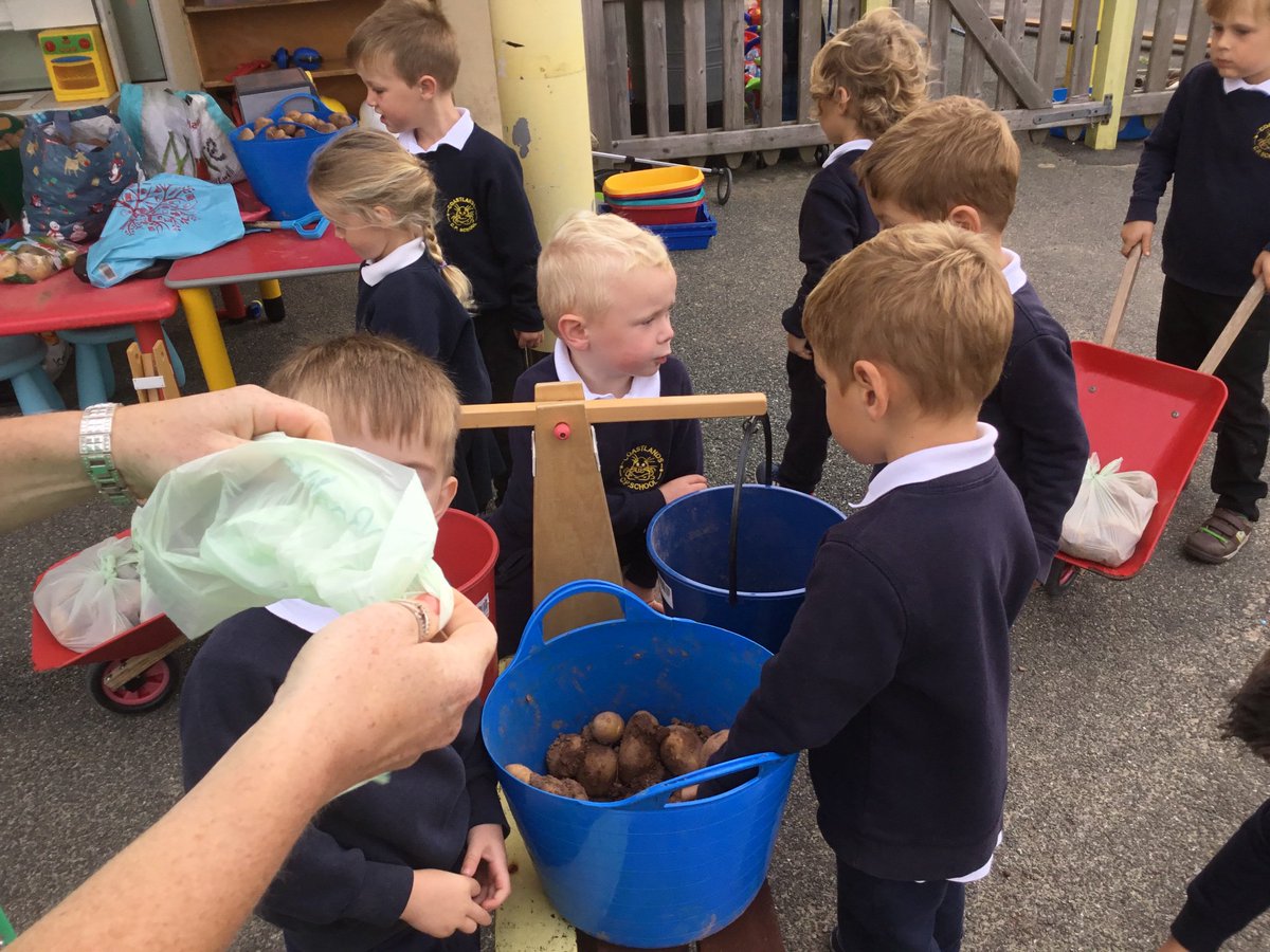 Class 1 weighing out their hard picked potatoes ready to sell today. @FPPembs @blasytir