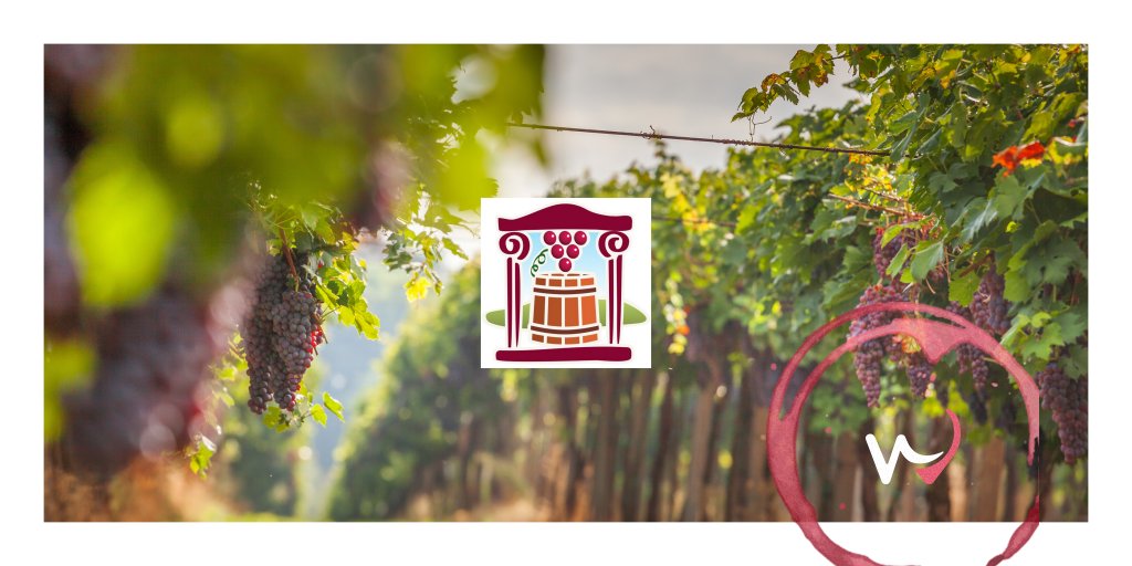 Dalla #Sicilia di @gianfrancomaltese alla #Lombardia della Cantina Storica di Montù Beccaria, passando per la #Campania di <a href="/Cavalierpepe/">Tenuta CavalierePepe</a>: da nord a sud, vivi la #vendemmia nelle migliori #cantine d'Italia. 

➡️ wineplan.it/it/search/even…