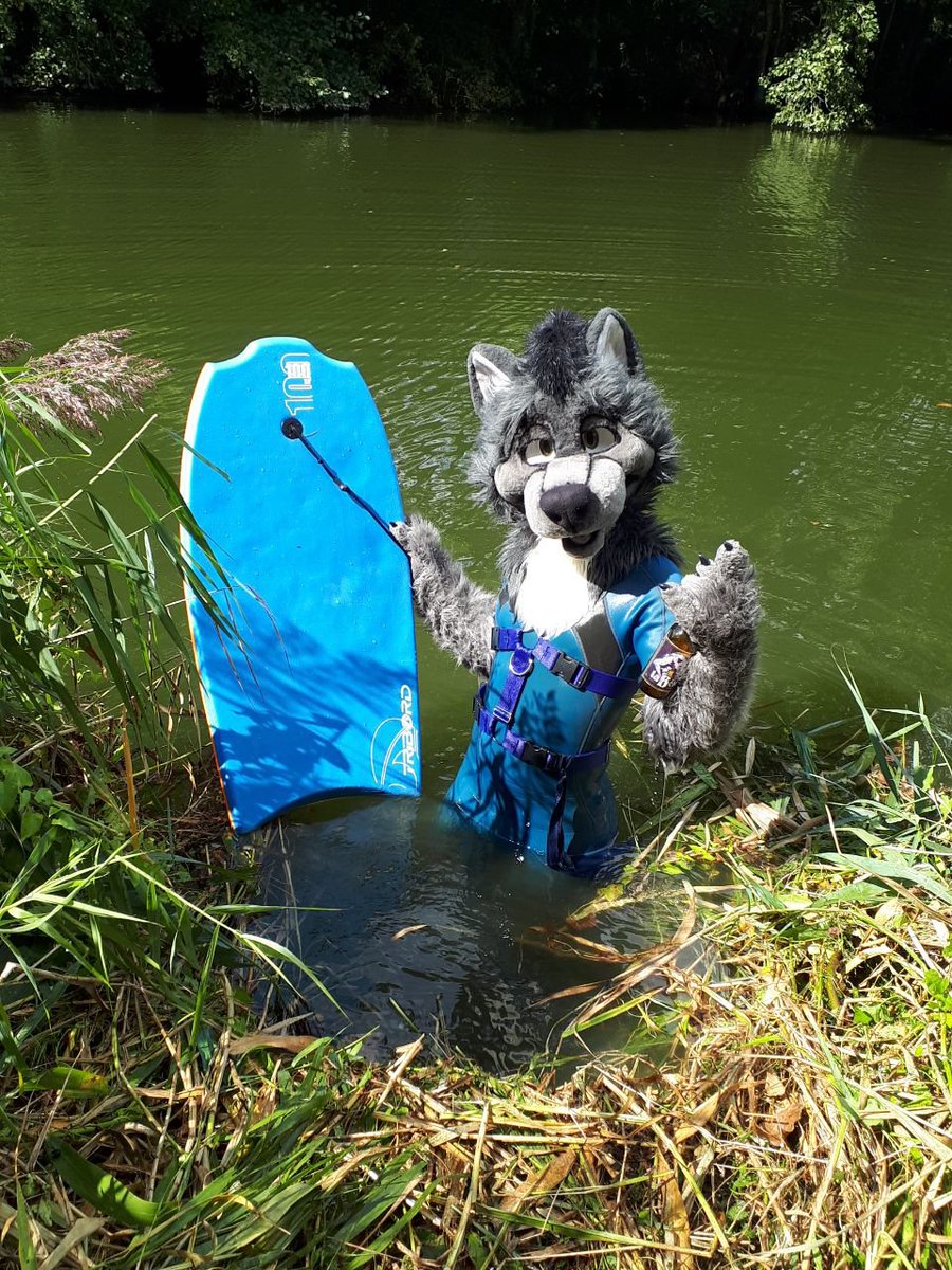 SzurkyWolf's tweet photo. #FursuitFriday Hey guys, bodyboard time again, joint me !!! I have beer and I give you a wet shiny neopren hug :3
#NeoprenFursuit #WetWolf #ShinyWolf https://t.co/57zrHLKyJB