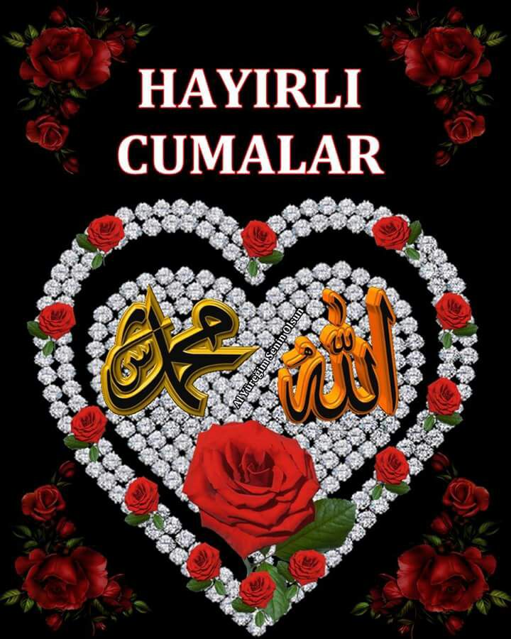 elifelif4434 (@simar_4434) on Twitter photo 