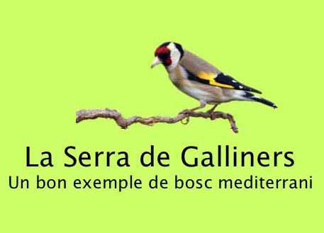 ajsantquirze's tweet photo. 🐦 Tot i que arriba el final de l'estiu (encara) tota cuca viu! #SQV Natura ens convida a fer una sortida naturalista per la #SerradeGalliners aquest diumenge 16 de setembre
ℹ️👉 https://t.co/1h4ZhmVCDt https://t.co/Vx7sYL3pve